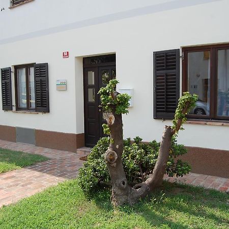 Apartament Andron Solkan Zewnętrze zdjęcie